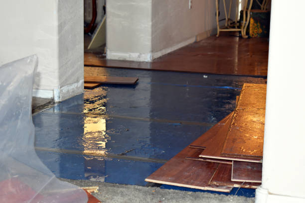 Professional Basement Flood Cleanup technician working in Colorado City, TX